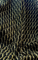 Black Wave Openwork Mesh Knit Fabric with Metallic Thread by the Metre - Whotex Fabrics London
