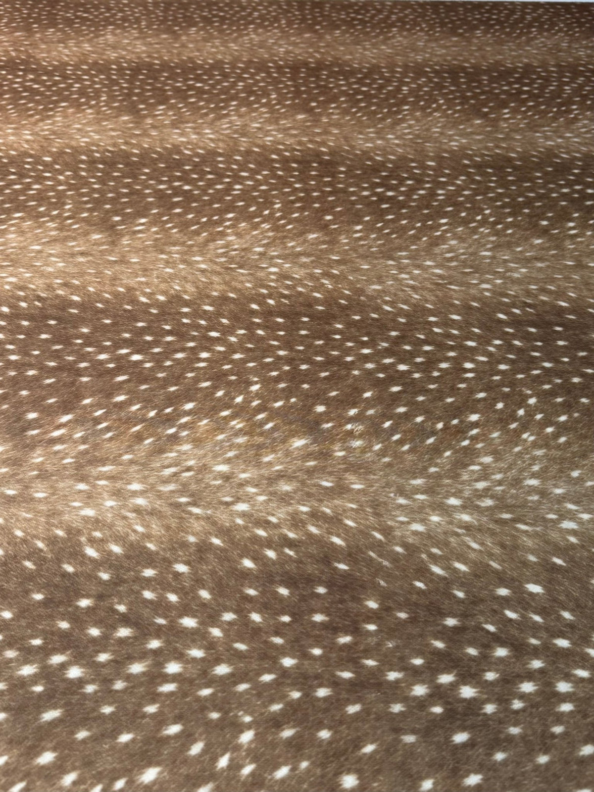 Taupe Fawn Deer Print Stretch Scuba Fabric by the Metre - Whotex Fabrics London